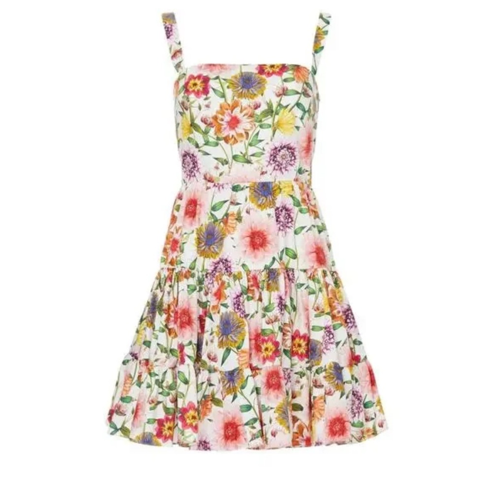 NWT Borgo de Nor Floral Freddie Dress US 6 UK10 Meredith Scheffler Masters Dress